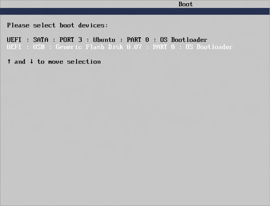 select ubuntu usb from boot menu