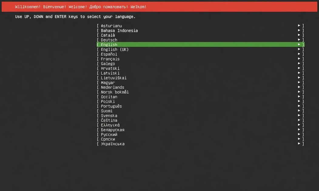 ubuntu server language english