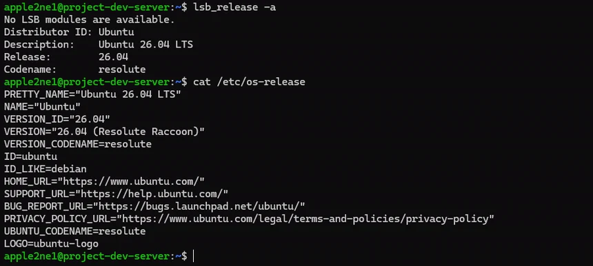 터미널에서 lsb_release와 os-release 파일로 Ubuntu 26.04 LTS 버전, 코드명과 배포판 정보를 확인한 결과