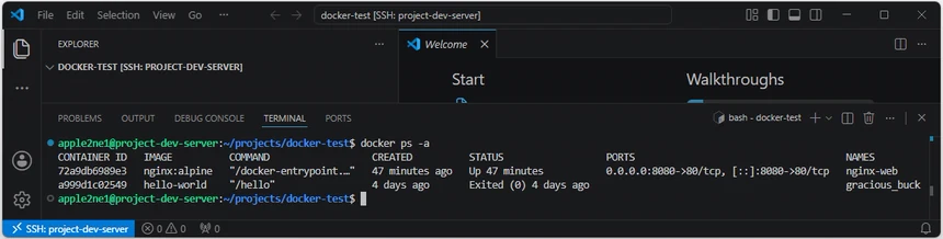 VS Code의 Linux 서버 터미널에서 docker ps -a 명령으로 실행 중인 nginx-web 컨테이너와 종료된 hello-world 컨테이너를 함께 확인한 결과