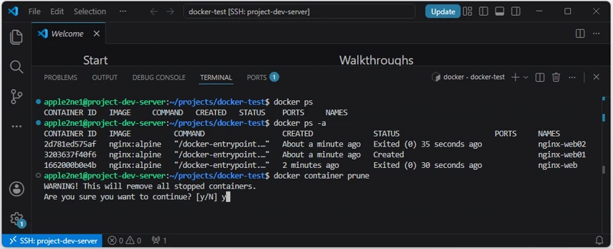 VS Code의 SSH 원격 터미널에서 중지된 Nginx 컨테이너 목록을 확인하고 docker container prune 명령의 삭제 경고에 y를 입력하는 화면