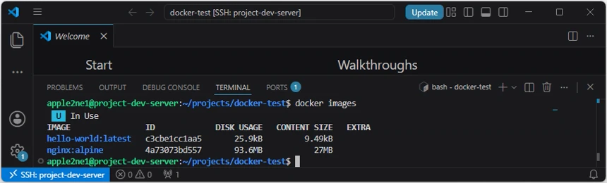 VS Code의 SSH 원격 터미널에서 docker images 명령으로 hello-world와 nginx:alpine 이미지의 ID, 디스크 사용량과 콘텐츠 크기를 확인한 결과