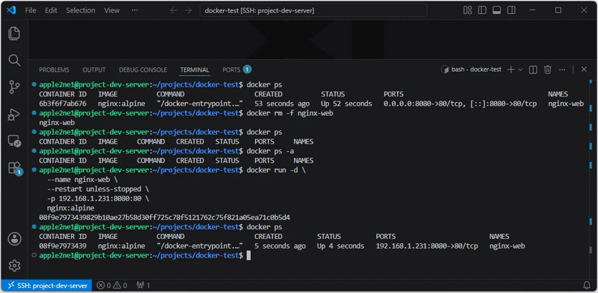 VS Code로 연결한 Linux 서버 터미널에서 기존 Nginx 컨테이너를 삭제하고 서버의 내부 IP 주소 192.168.1.231과 8080번 포트에 다시 바인딩한 결과