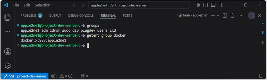 현재 로그인 세션의 groups 결과에는 docker가 없지만 getent group docker 결과에는 apple2ne1 계정이 기록된 화면