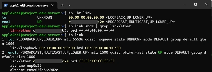 Linux 서버 터미널에서 `ip -br link`를 실행해 루프백과 `eno1` 인터페이스를 확인하고 실제 MAC 주소는 가림 처리한 화면