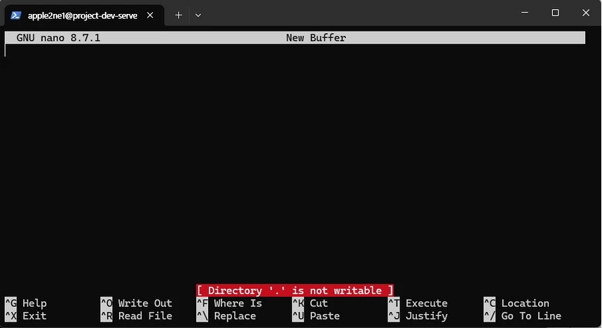 Linux 터미널에서 `nano`로 텍스트 파일을 열어 내용을 편집하고 화면 아래에서 저장과 종료 단축키를 확인하는 화면