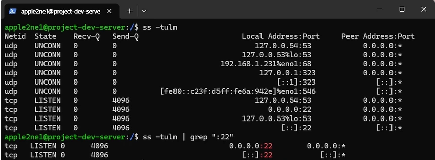 Linux 터미널에서 `ss -tuln` 명령을 실행해 TCP와 UDP 수신 대기 소켓의 로컬 주소와 포트 목록을 확인하는 화면