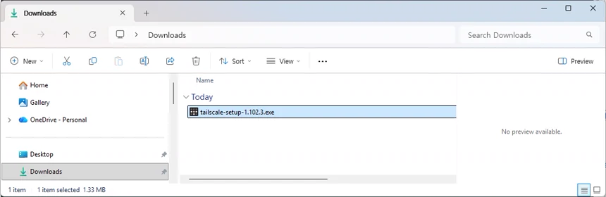 Windows 파일 탐색기의 Downloads 폴더에서 내려받은 Tailscale 설치 실행 파일이 선택된 화면