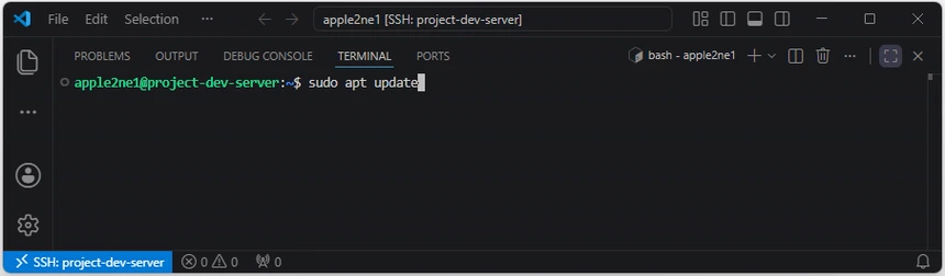 VS Code의 Linux 서버 터미널에서 sudo apt update 명령을 입력한 화면