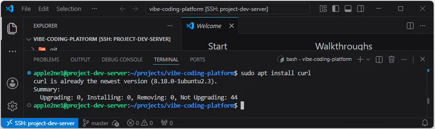 VS Code 원격 터미널에서 curl 패키지가 이미 최신 버전인지 확인한 결과