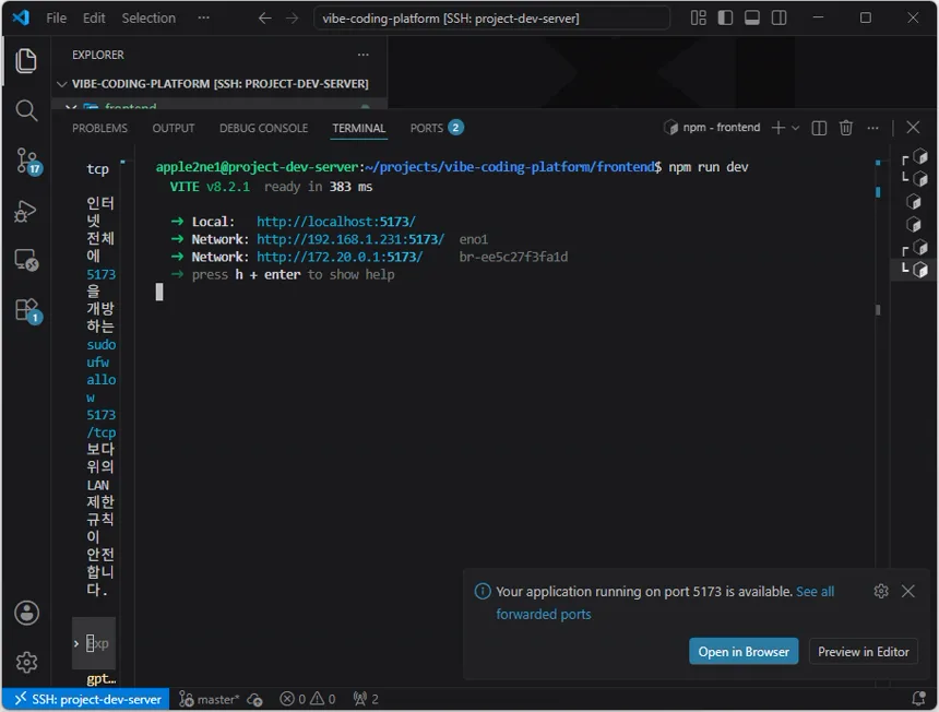 vite development server running