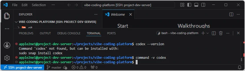 VS Code 원격 터미널에서 codex 명령과 실행 경로를 찾지 못해 Codex CLI가 설치되지 않았음을 확인한 결과