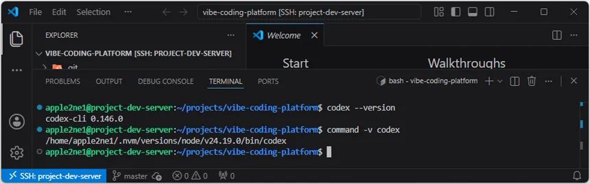 VS Code 원격 터미널에서 Codex CLI 버전과 nvm 사용자 환경의 codex 실행 경로를 확인한 결과
