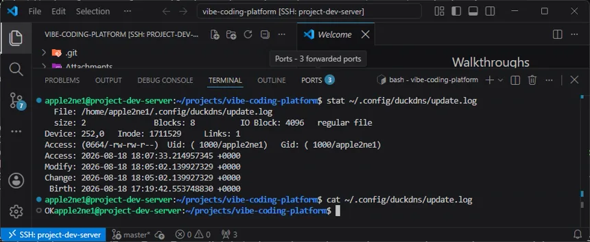 VS Code 터미널에서 DuckDNS update.log 파일의 수정 시간을 확인하고 로그 내용이 OK인지 확인하는 화면