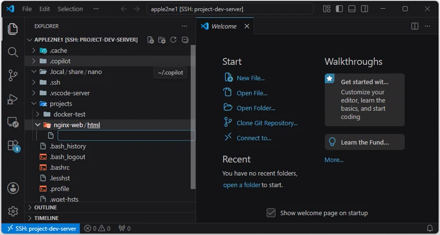 VS Code Explorer의 nginx-web/html 폴더 아래에 새 파일명을 입력할 수 있는 입력란이 열린 화면