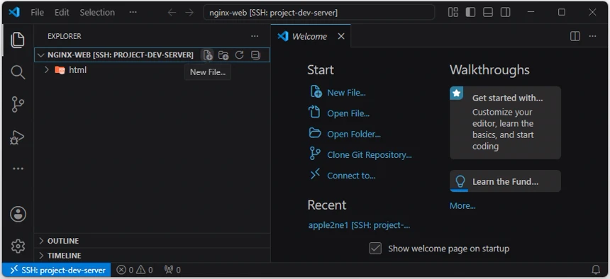 VS Code Explorer에서 펼쳐진 nginx-web 원격 작업 폴더를 선택하고 New File 아이콘을 확인하는 화면