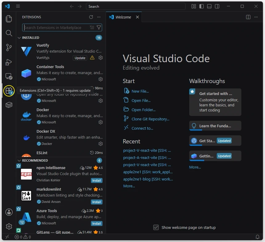 VS Code 왼쪽 Activity Bar에서 Extensions 아이콘을 선택해 설치된 확장과 권장 확장 목록을 연 화면