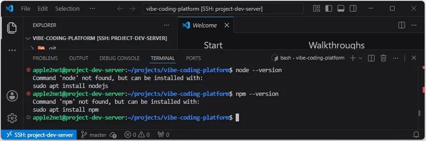 VS Code 원격 터미널에서 node와 npm 명령을 찾지 못해 Node.js 환경이 준비되지 않았음을 확인한 결과