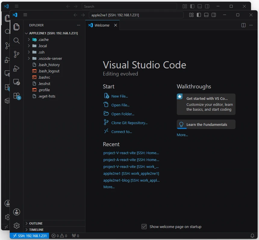 VS Code Explorer에 예시 원격 사용자의 홈 폴더와 cache·local·ssh·vscode-server 항목이 표시된 화면으로 기존 프로젝트 목록이 보이는 상태