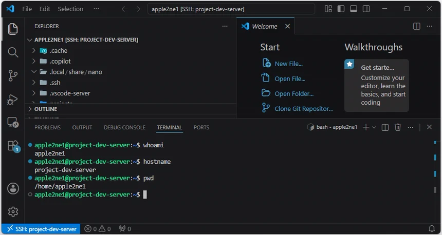 VS Code의 SSH 원격 터미널에서 whoami, hostname과 pwd 명령으로 사용자 apple2ne1, 서버 이름 project-dev-server 및 홈 폴더 경로를 확인한 결과