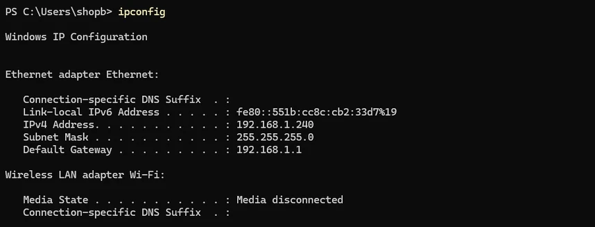 windows ipconfig local network address