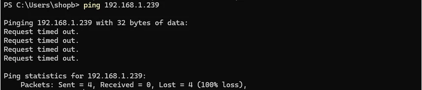windows ping project dev server failed