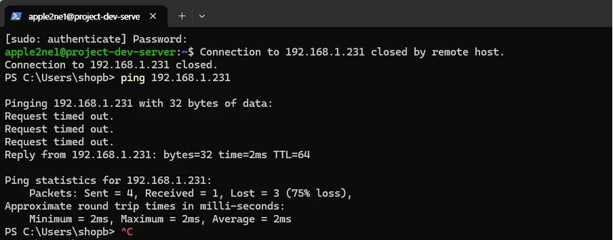 windows ping stopped with ctrl c